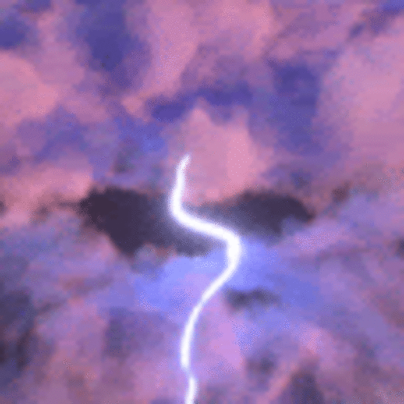 avashackleford5